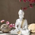 Enhancing Your Dubai Lifestyle with Feng Shui and Chakra Practices